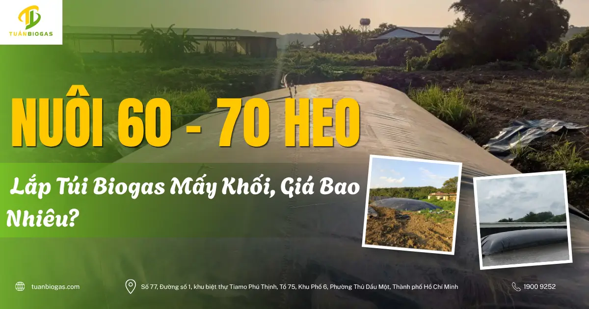 Nuôi 60-70 Con Heo Nên Lắp Túi Biogas Bao Nhiêu Khối, Giá Bao Nhiêu?
